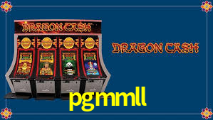 Programa VIP pgmmll