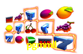 Programa VIP pgmmll